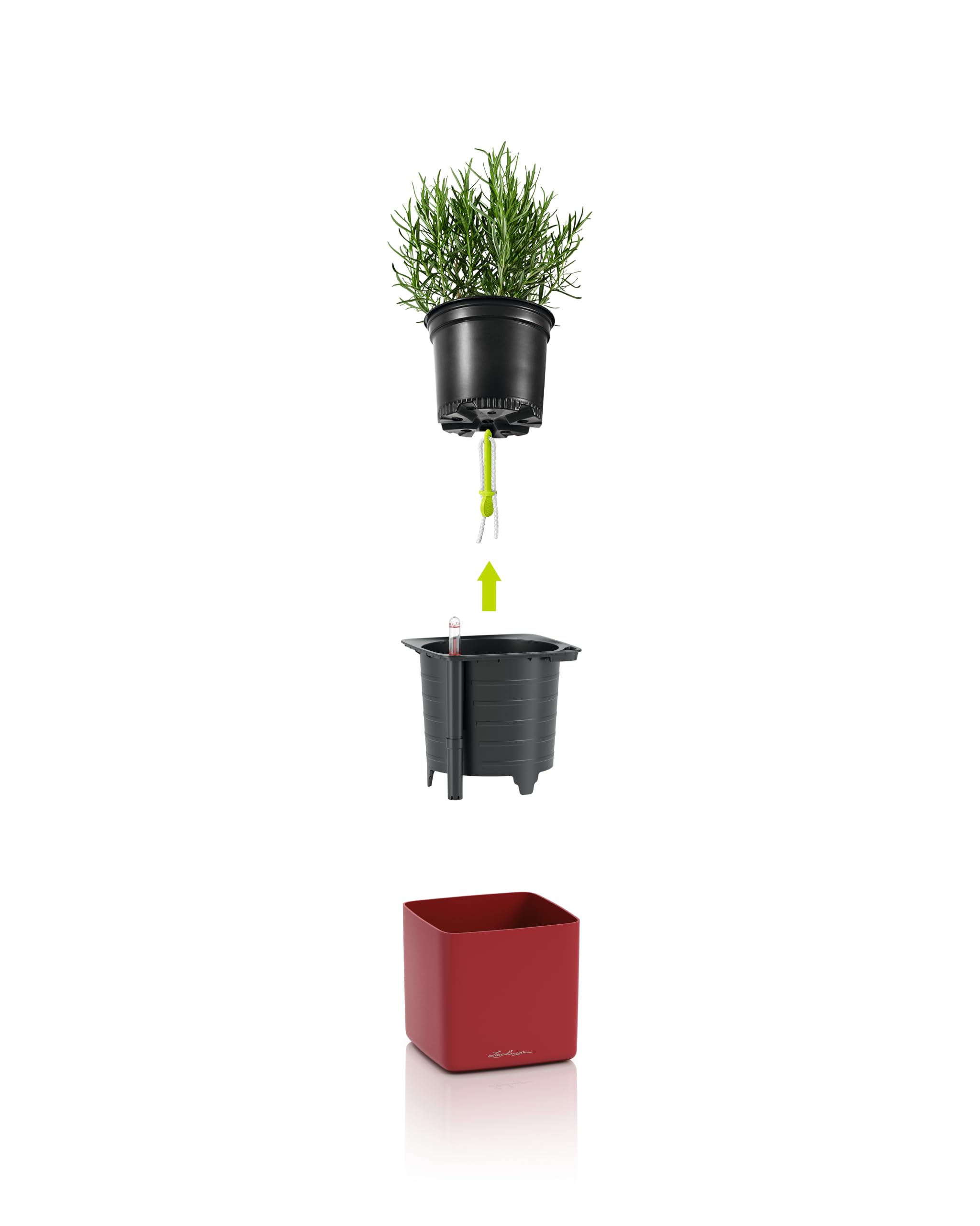 Lechuza Green Wall Cube Premium Wand Anthrazit Hochglanz