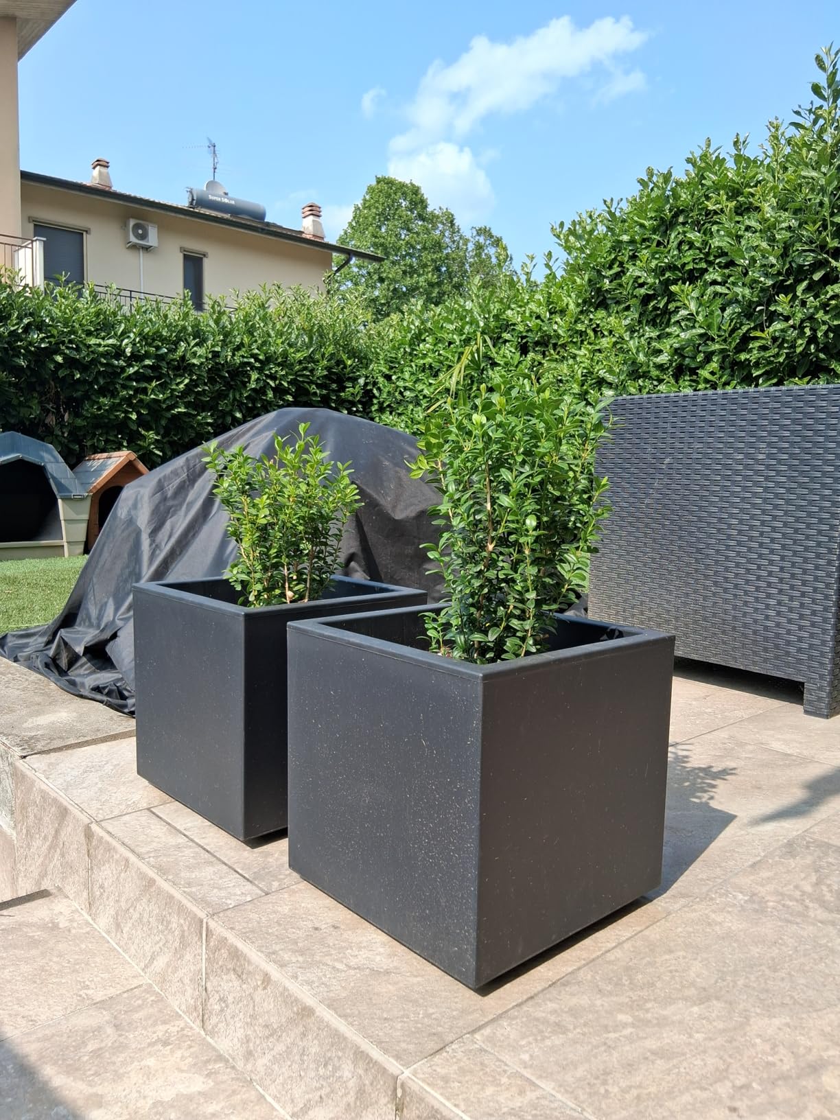 elho Vivo Next Quadrat 40 Pflanztopf schwarz mit Rollen