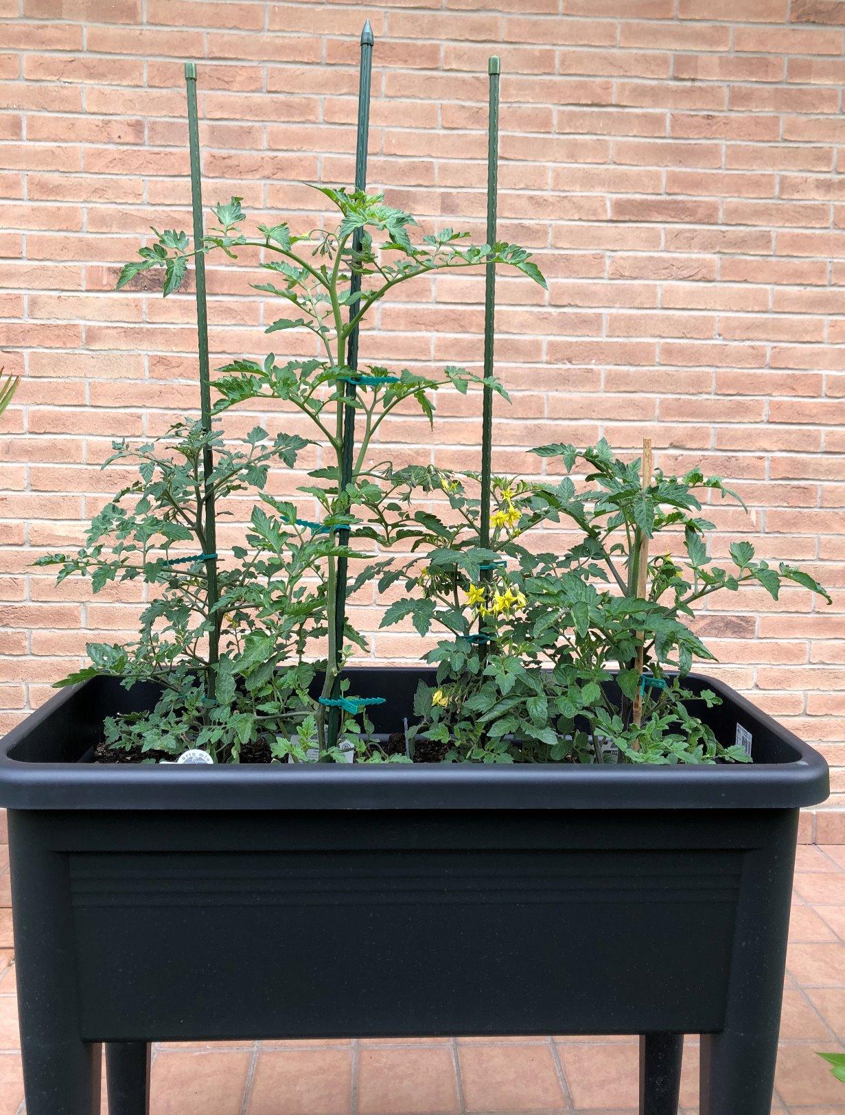 elho Green Basics Anzuchttisch XXL 75cm Living Schwarz recycelt