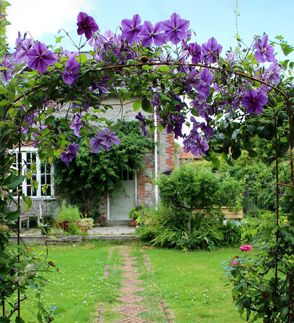 Sarah Raven Fine Arch Rosenbogen Stahl 2m Rustic für Garten