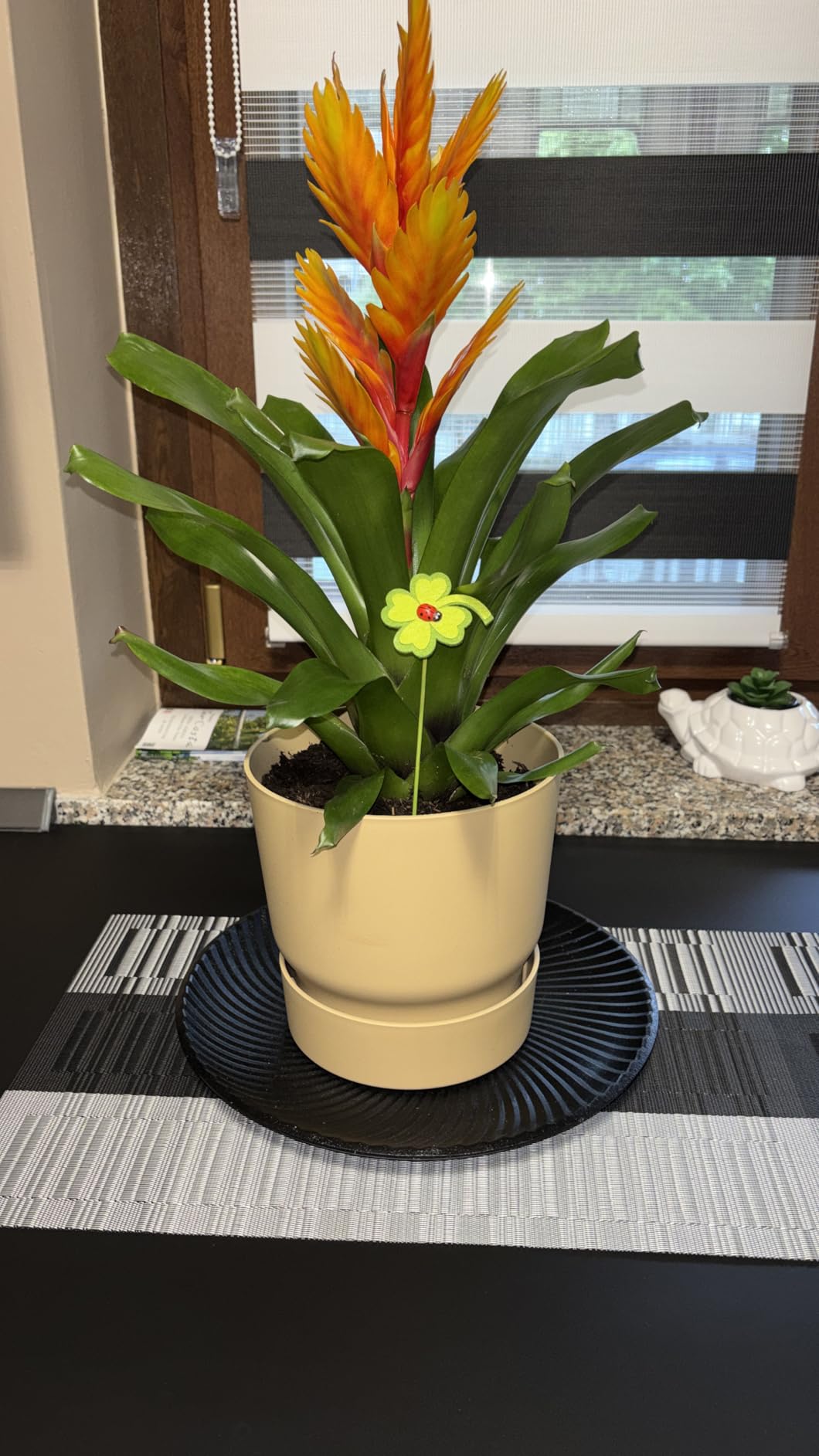 elho Greenville Rund 25 cm Blumentopf Goldener Sand frostbeständig