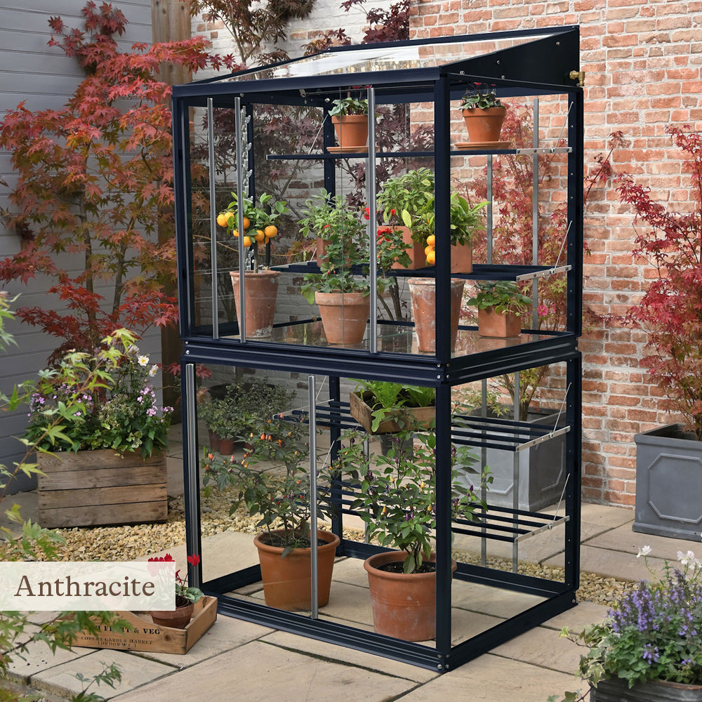 Sarah Raven Classic Grow House Gewächshaus Cotswold Grün Glas