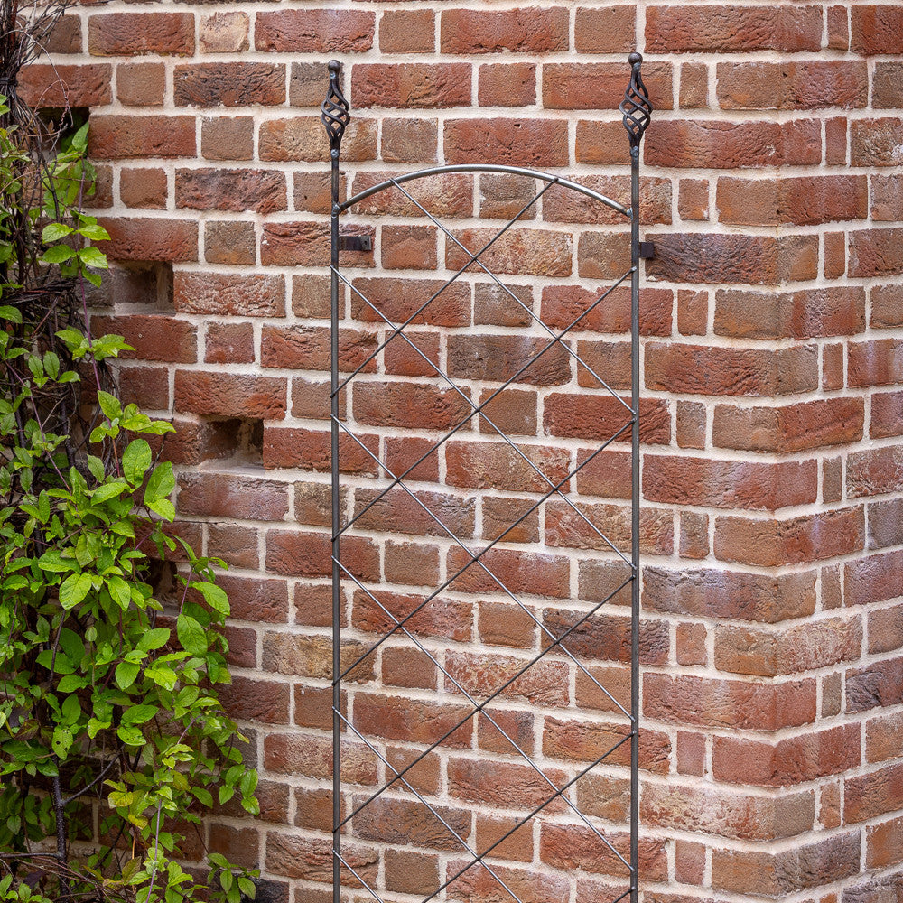 Sarah Raven Gardening Decorative Wall Trellis Rankgitter 164 cm Rost