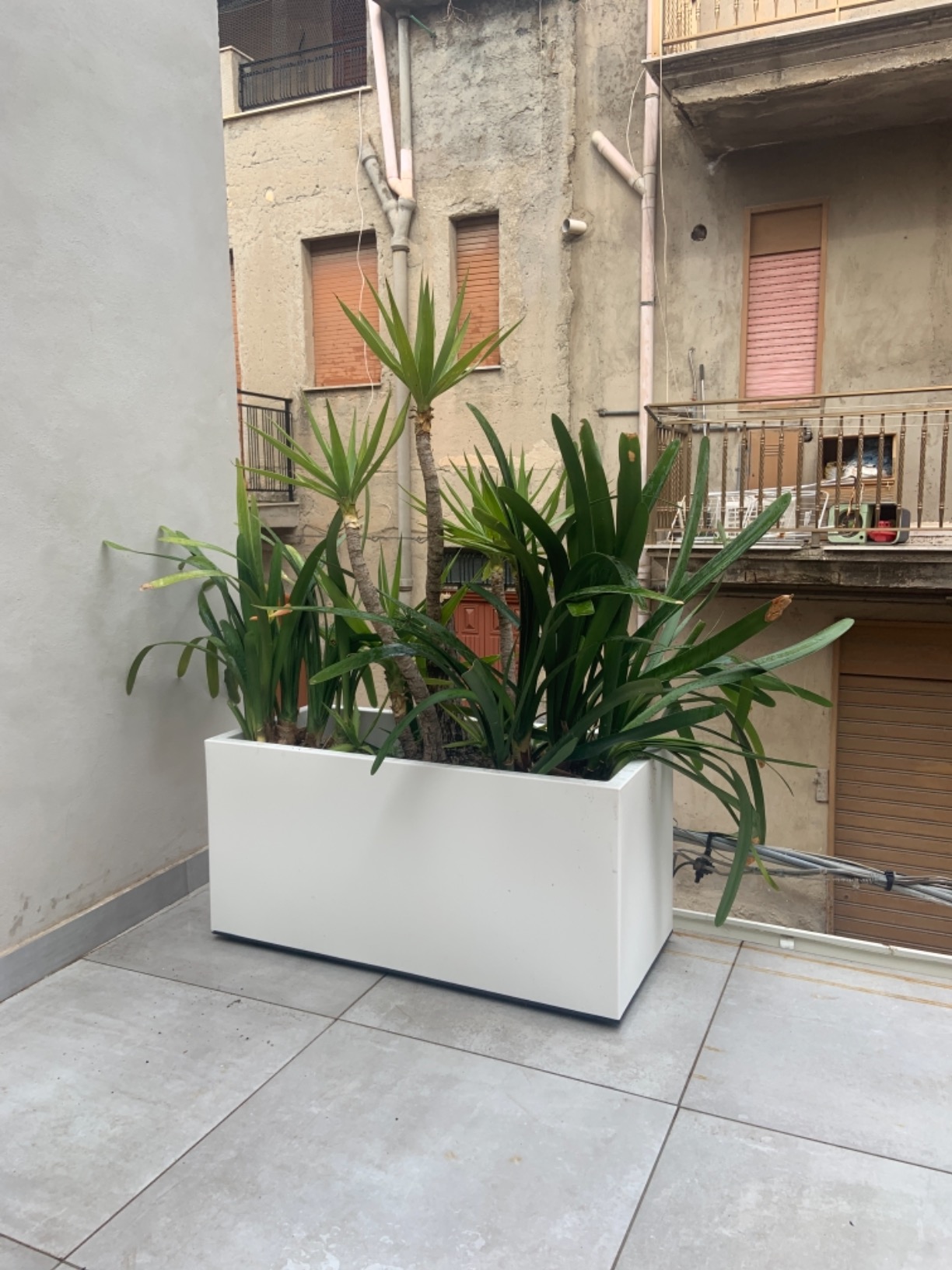 elho Vivo Long Blumenkasten weiß 90 cm mit Rollen