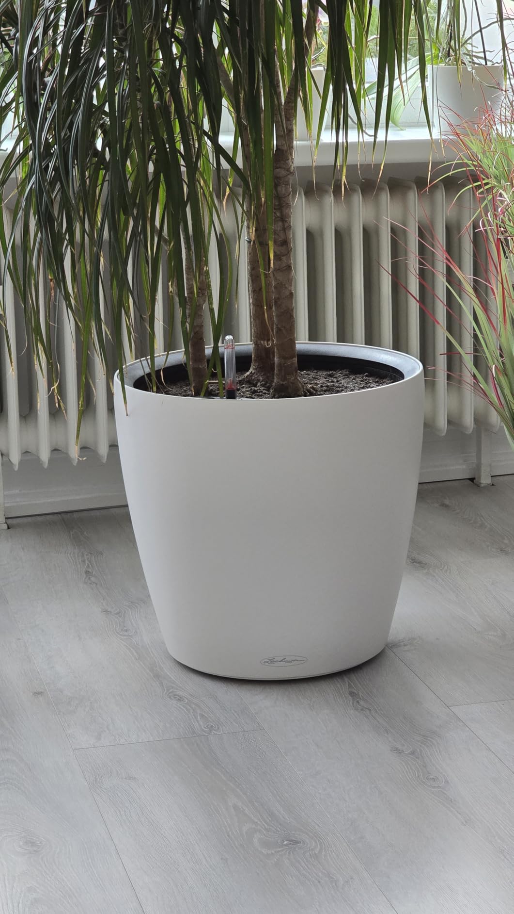 Lechuza Classico Color LS 21 Pflanztopf Sandbraun mit Bewässerung