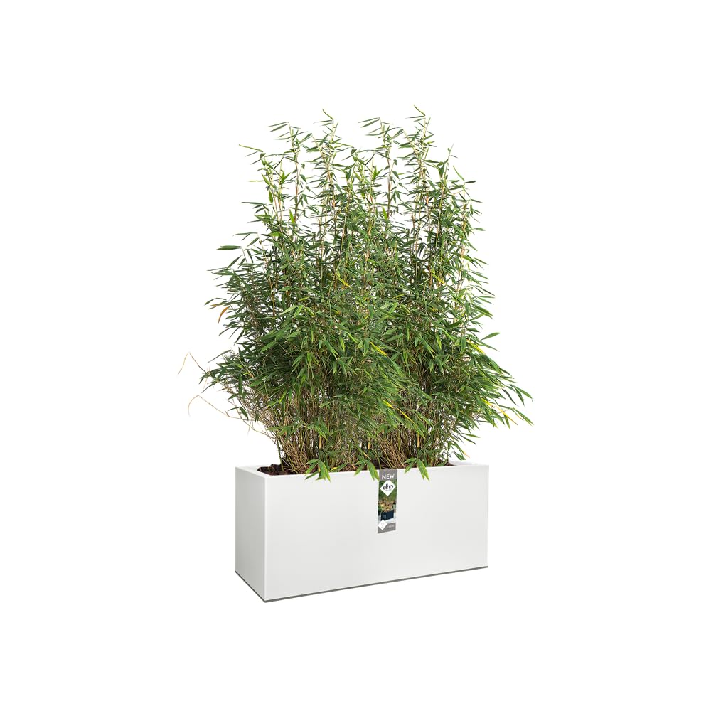 elho Vivo Long Blumenkasten weiß 90 cm mit Rollen