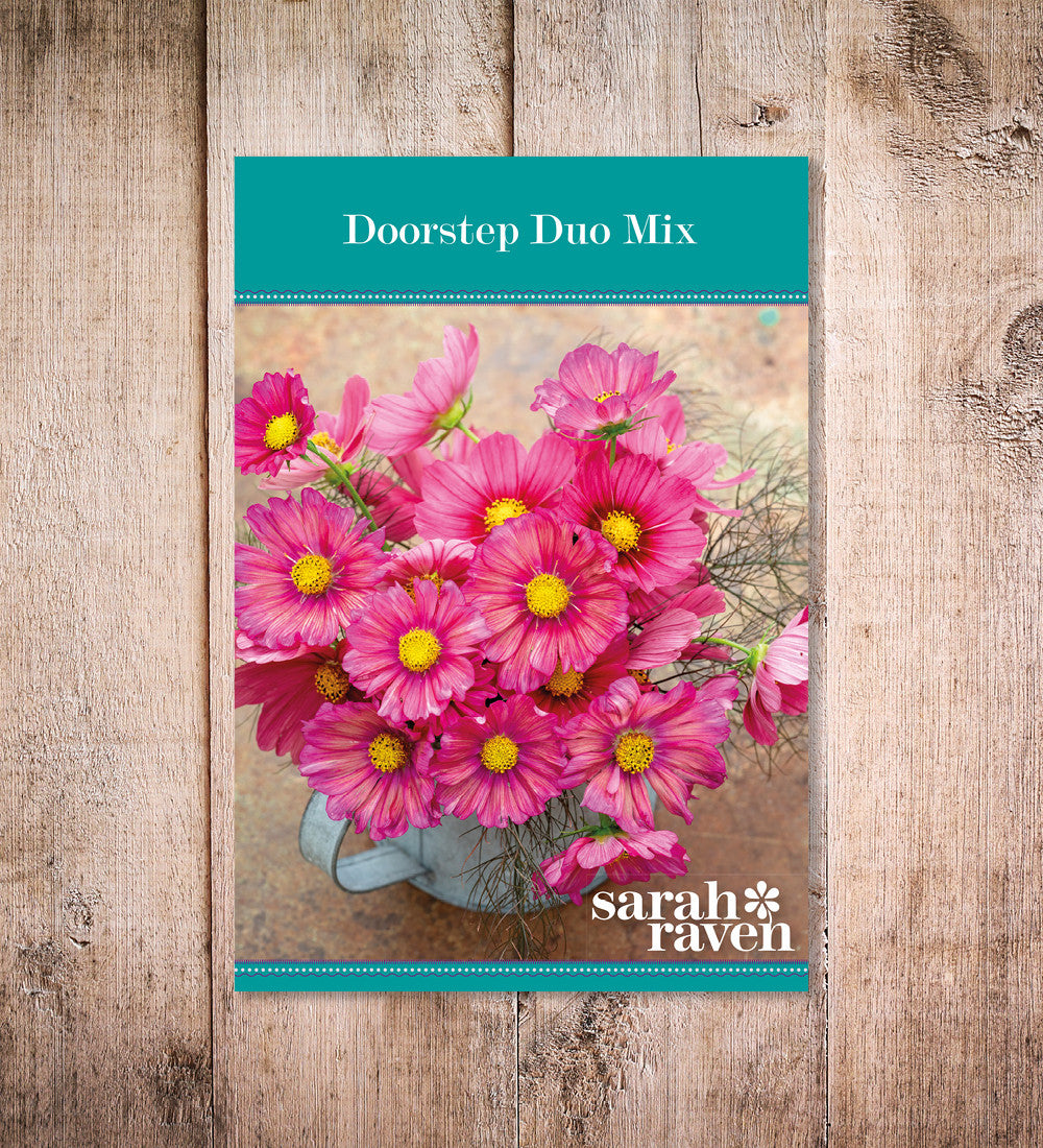 Sarah Raven Doorstep Duo Cosmos Samen 50 Samen Antiquity Xsenia