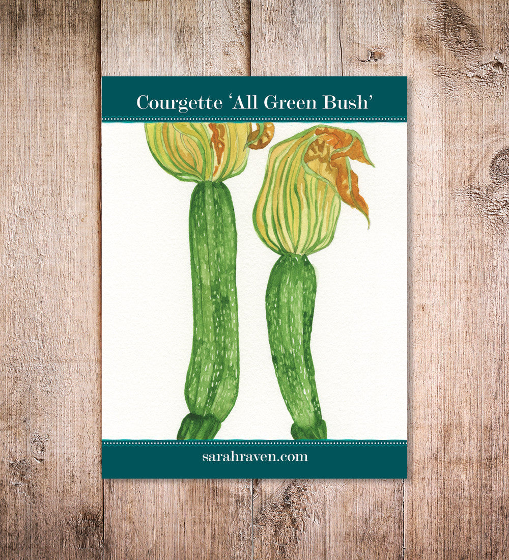 Sarah Raven Seeds Courgette All Green Bush Samen 10 Stück Topf