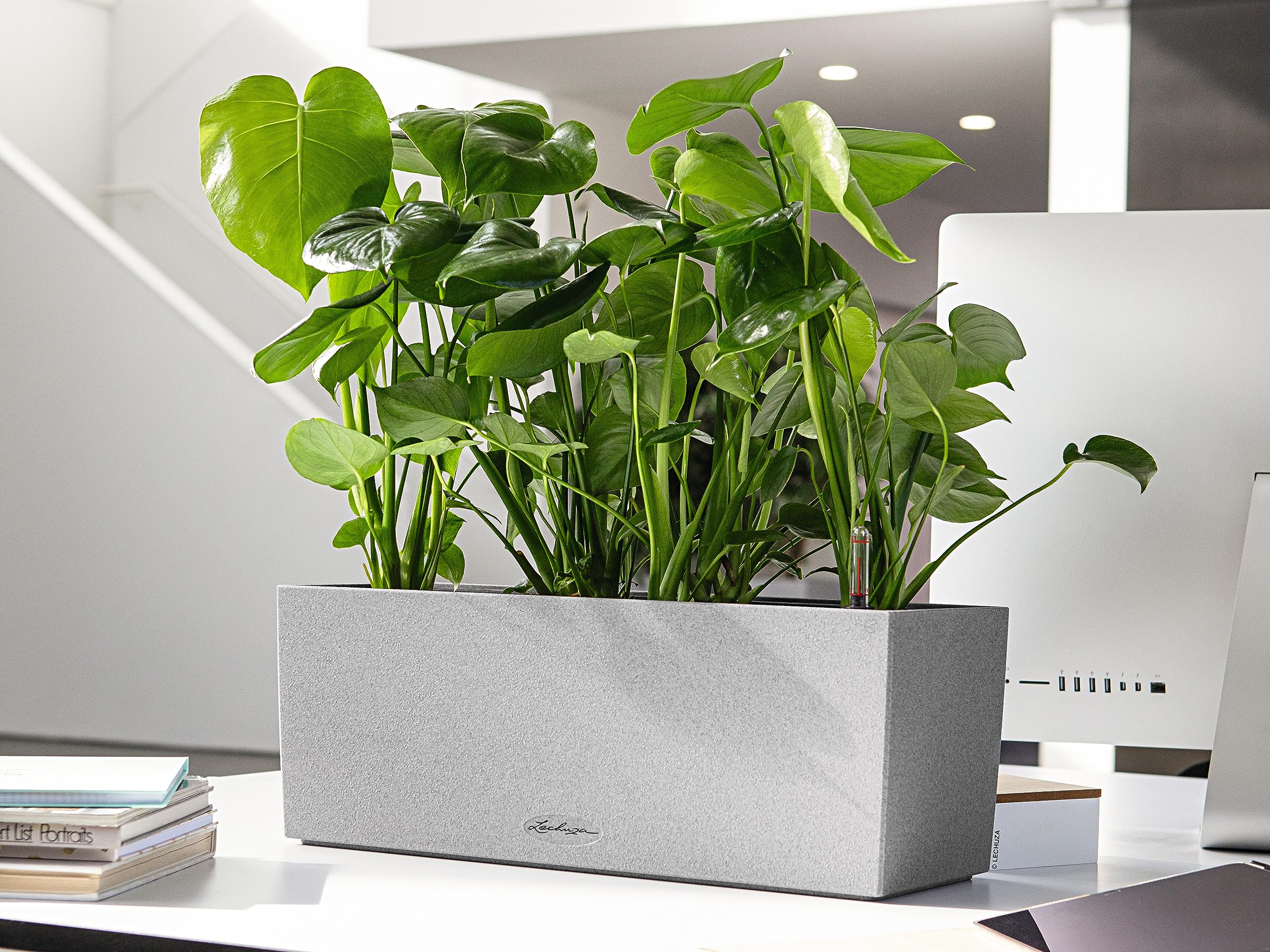 Lechuza Balconera Stone Pflanzkasten 50 cm steingrau Bewässerung