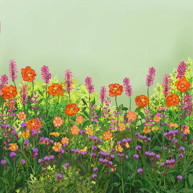 Sarah Raven Plants Bright Border Collection Pflanze 18x9cm bunt