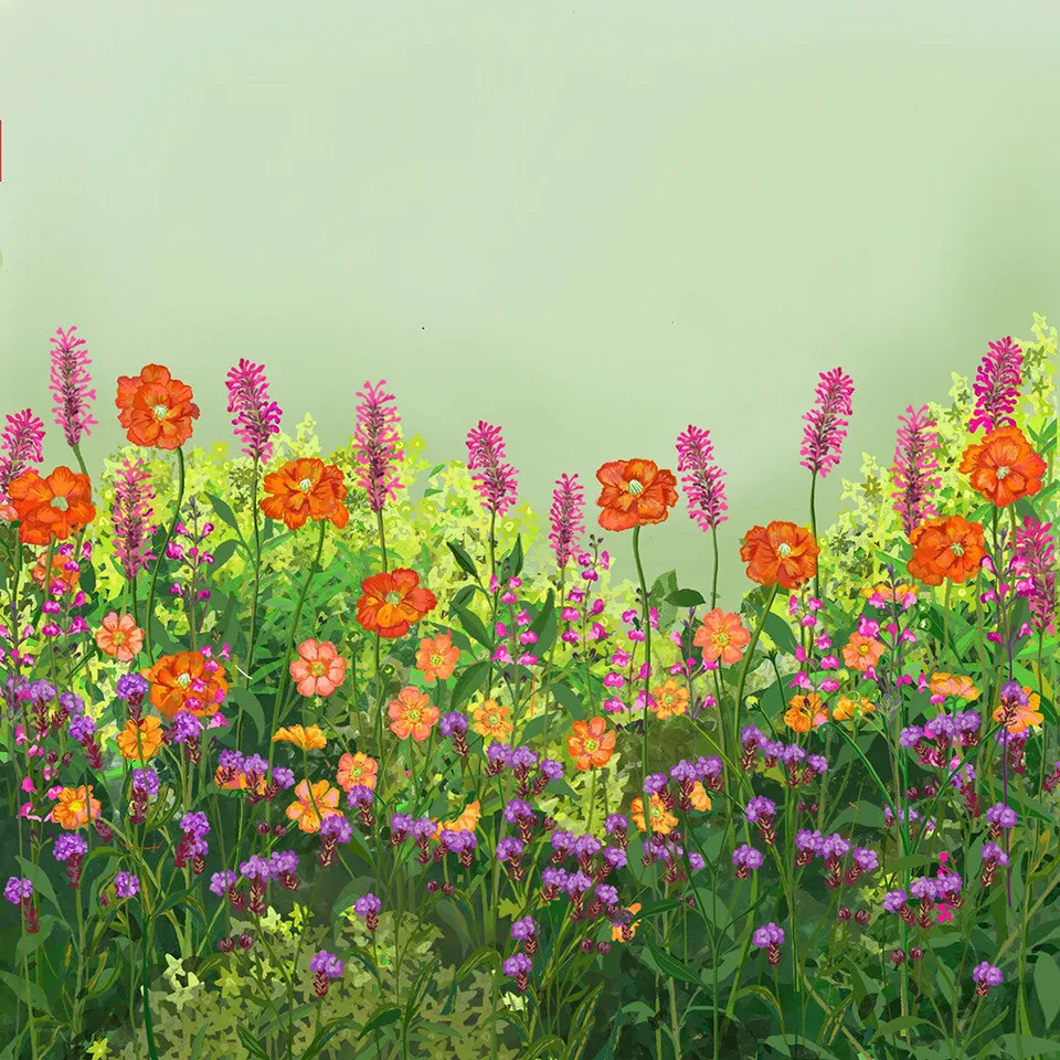 Sarah Raven Plants Bright Border Collection Pflanze 18x9cm bunt