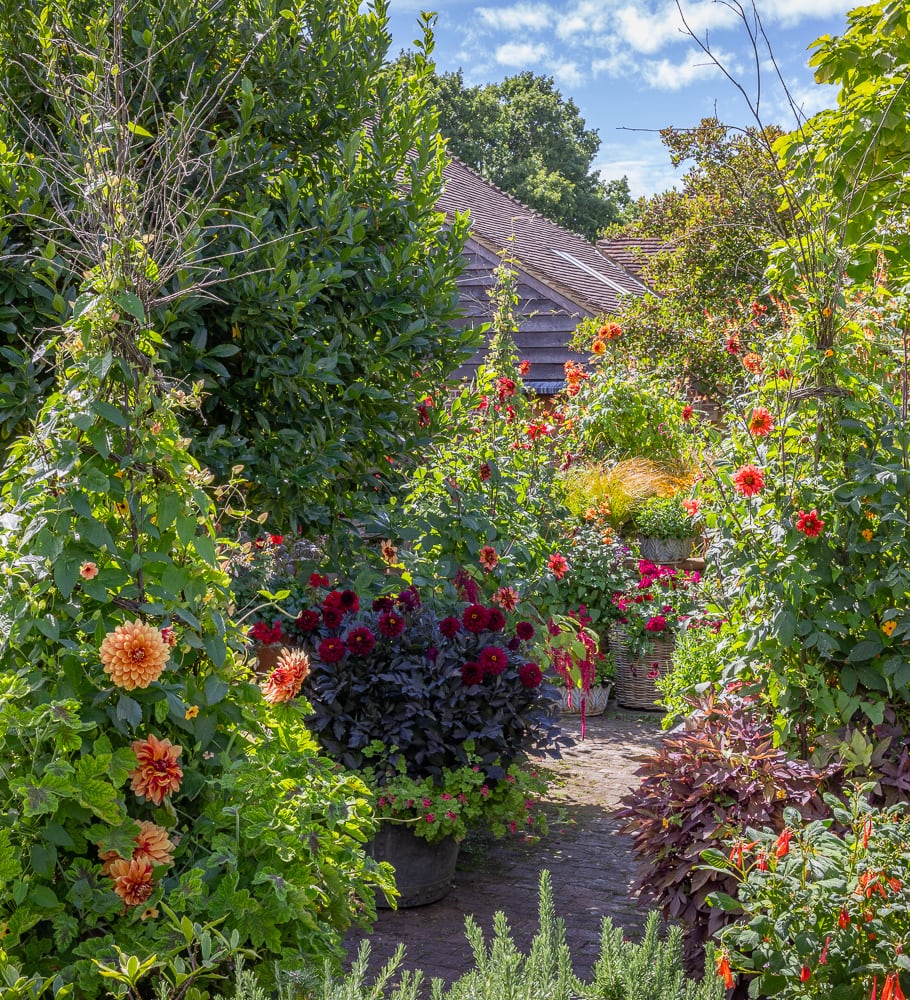 Sarah Raven Courses Kaleidoscope Garden Kurs 25. September Perch Hill