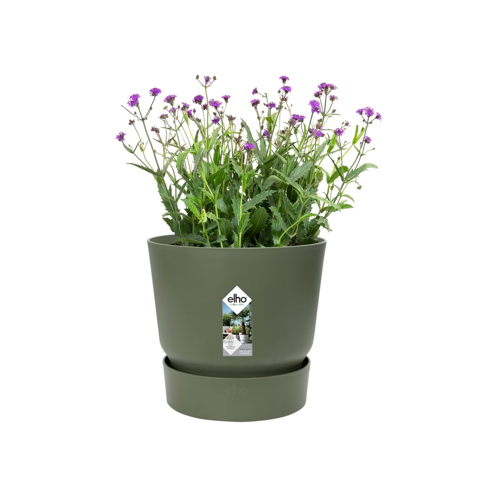 elho Greenville Rund 25 Blumentopf Leaf Green mit Untersetzer
