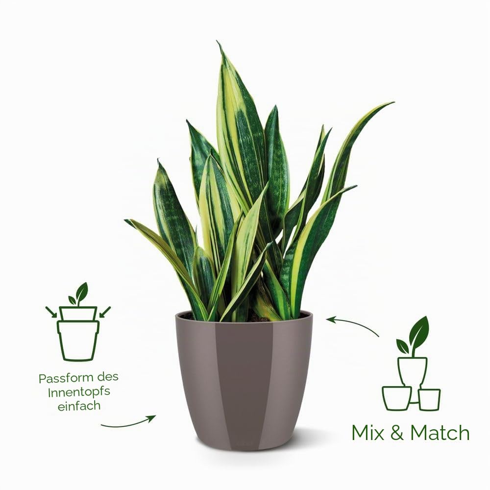 elho Brussels Blumentopf 22cm schwarz metallic rund für innen