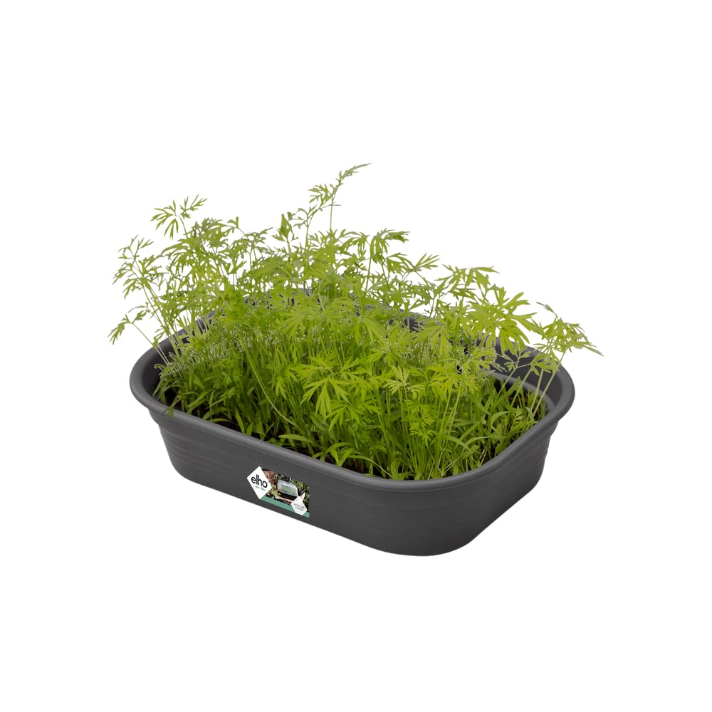 elho Green Basics Anzuchtschale S 24 cm Schwarz Ablaufloch