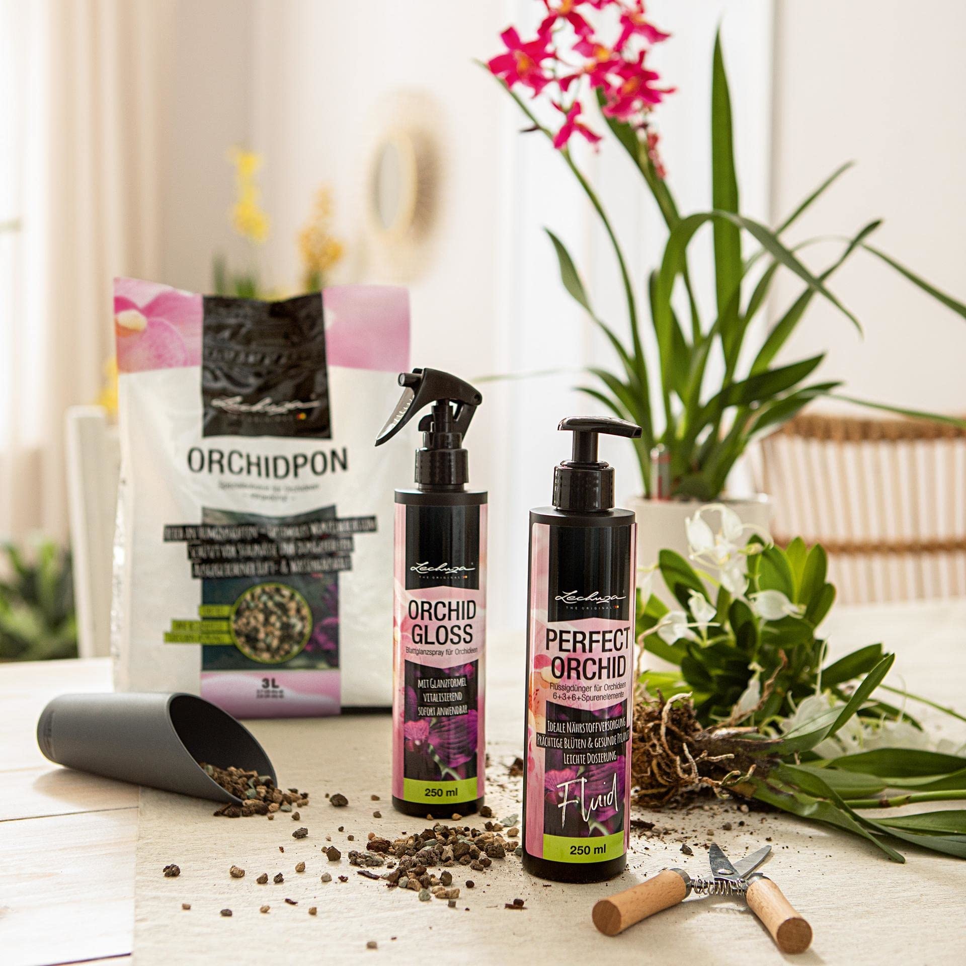 Lechuza Orchidea Blattglanzspray 250ml für Orchideen