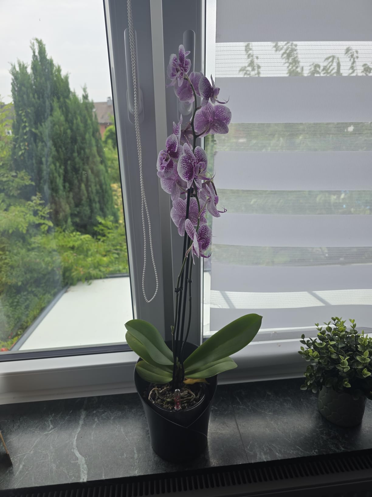Lechuza Orchidea Color Orchideentopf Weiß Ø18cm Dochtsystem