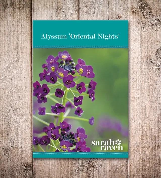 Sarah Raven Seeds Alyssum Oriental Nights Samen 500 Stück Honigduft