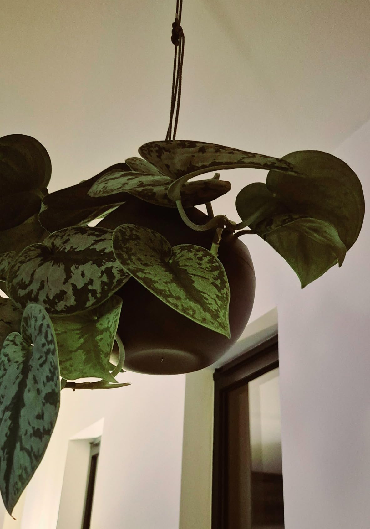 Elho B.for Soft Air Hängetopf Laubgrün 18 cm wasserdicht