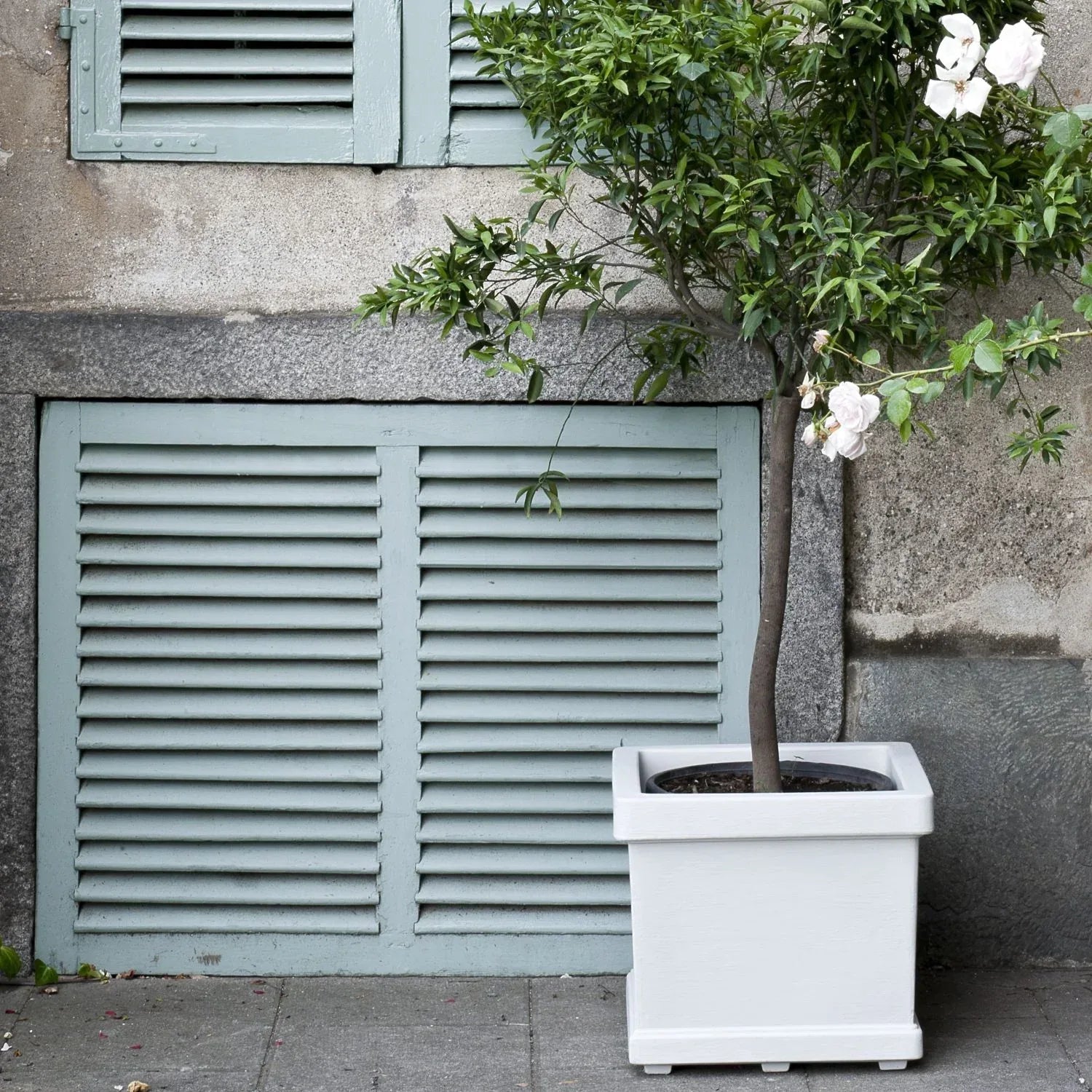 Serralunga Neoclassic Quadro Pflanztopf Weiß 47 cm Eckig