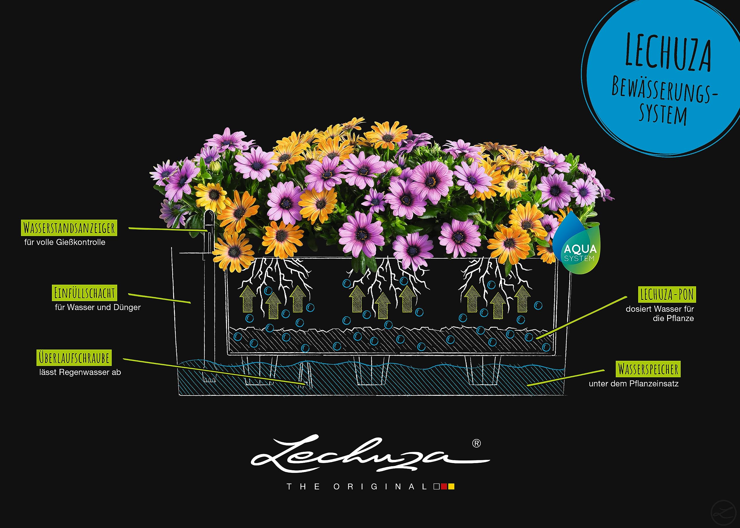 Lechuza Balconera Color 50 Blumenkasten Muskat mit Bewässerung