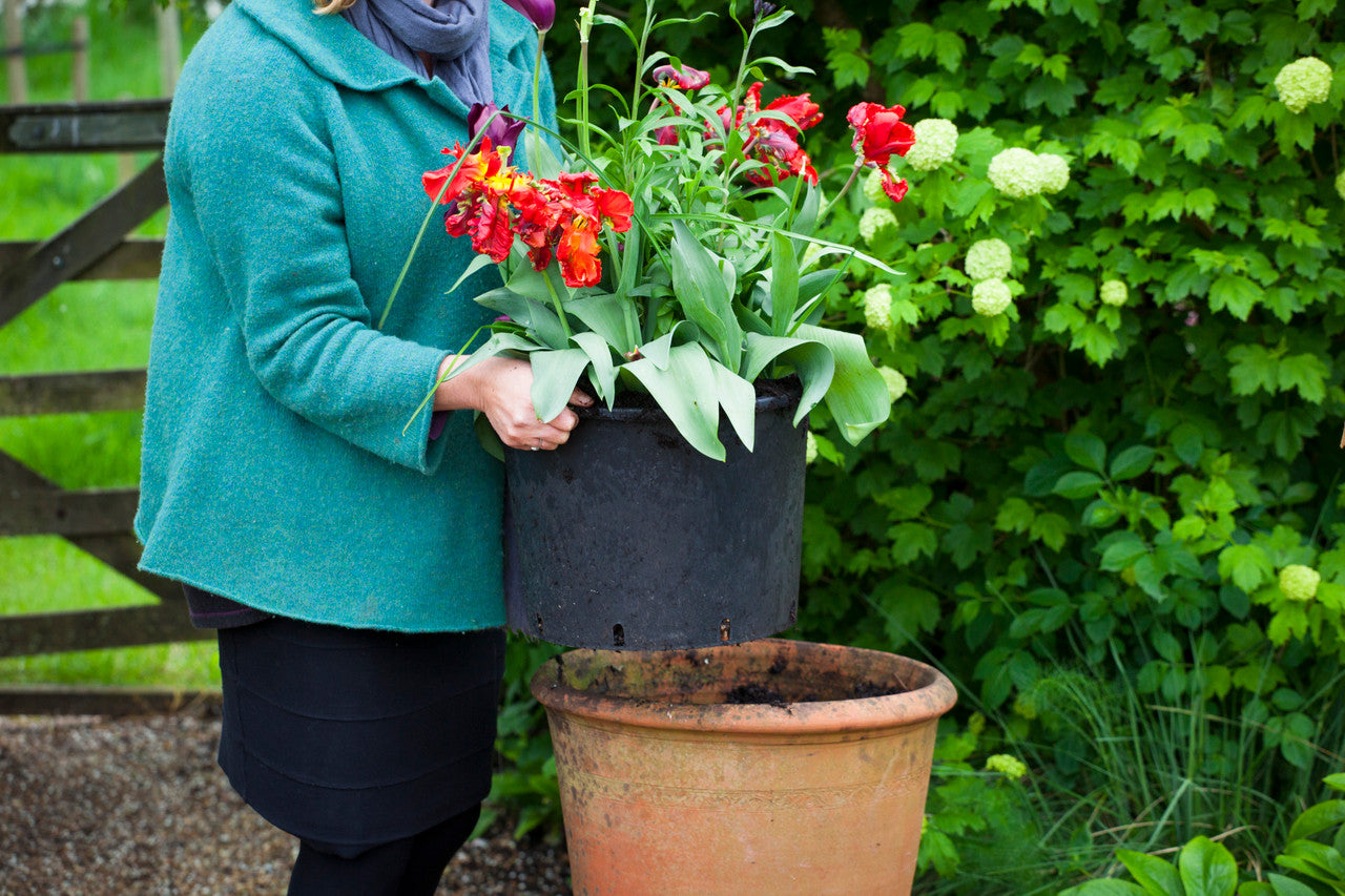 Sarah Raven Pots for Successional Planting Pflanztopf 2er-Set 20L