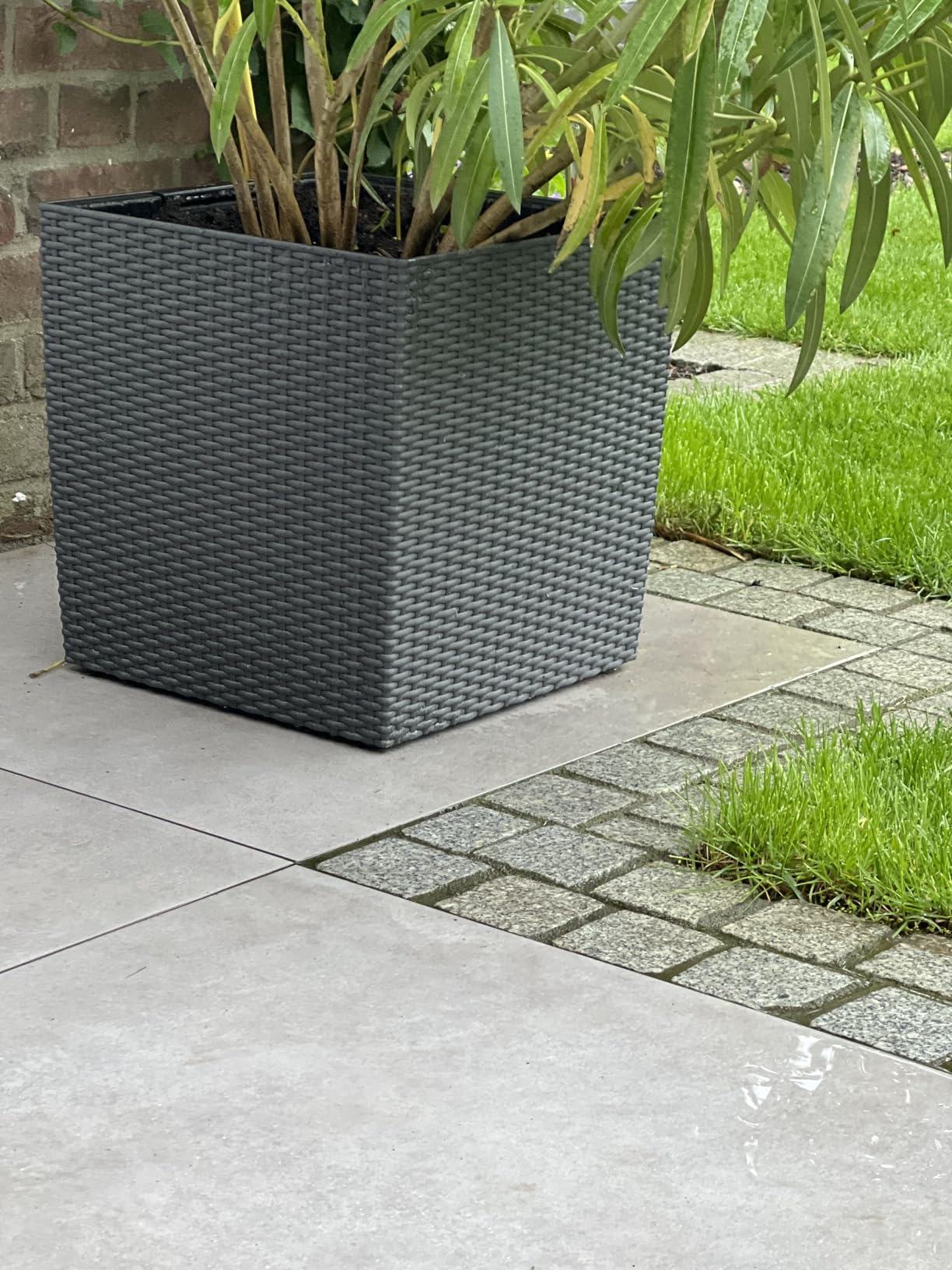 Lechuza Cube Cottage 50 Pflanzgefäß Granit Flechtoptik