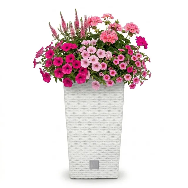 Prosperplast Rato Square Blumentopf Weiß Rattan 26,5x50cm