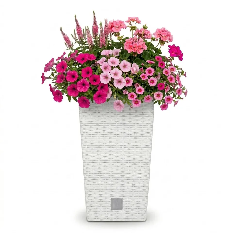 Prosperplast Rato Square Blumentopf Weiß Rattan 26,5x50cm