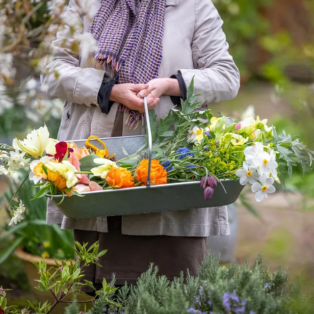 Sarah Raven Gardening Zinc Erntekörb 63 cm Zink