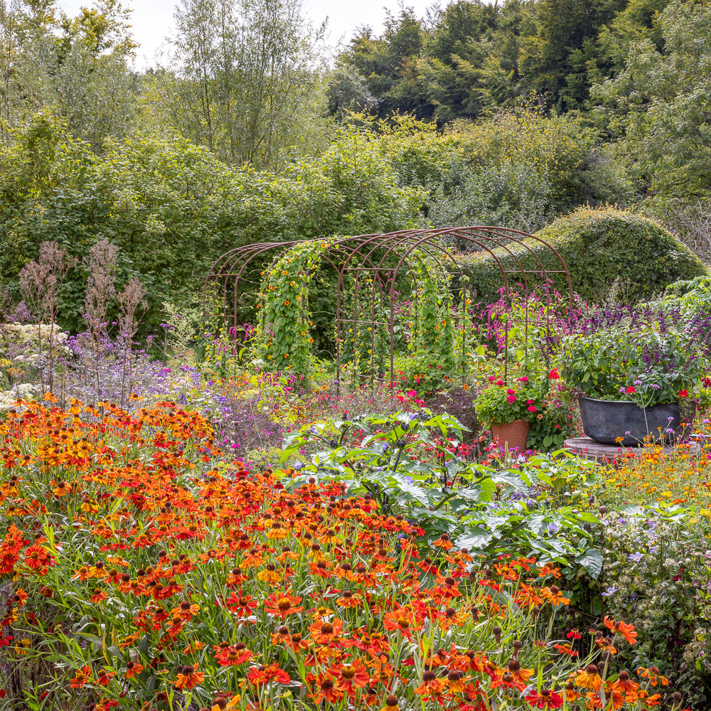 Sarah Raven Courses Kaleidoscope Garden Kurs 25. September Perch Hill