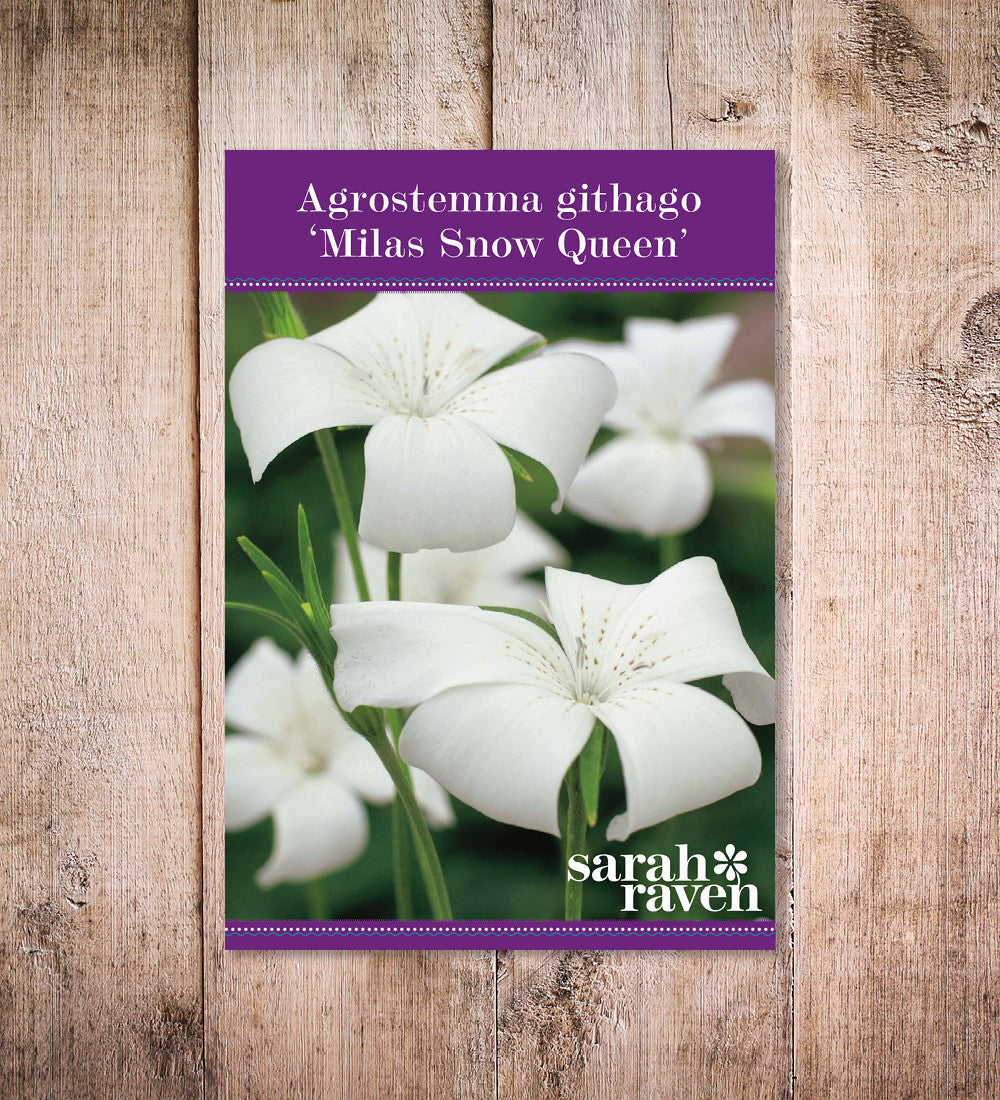 Sarah Raven Seeds Kornrade Milas Snow Queen Samen 250 Stück weiß