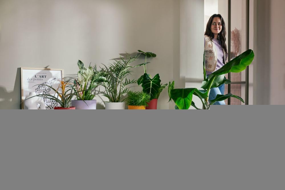 elho Jazz rund 26 Blumentopf Lavendel Lila recycelt
