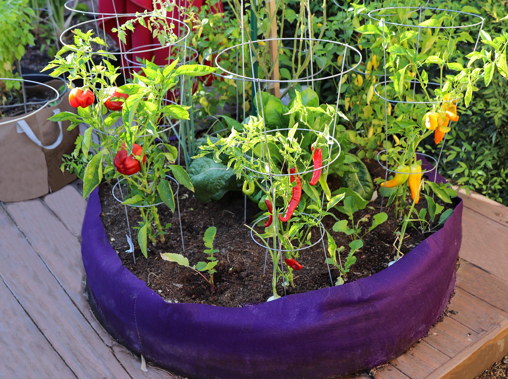 Smart Pot Raised Beds Round Raised Bed Hochbeet 36 Inch Schwarz Stoff