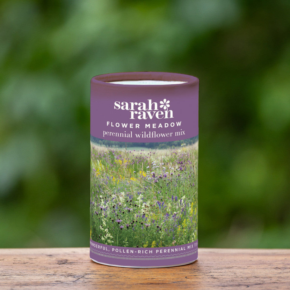 Sarah Raven Seeds Wild Flower Meadow Mix Blumensamen 100g 25m²
