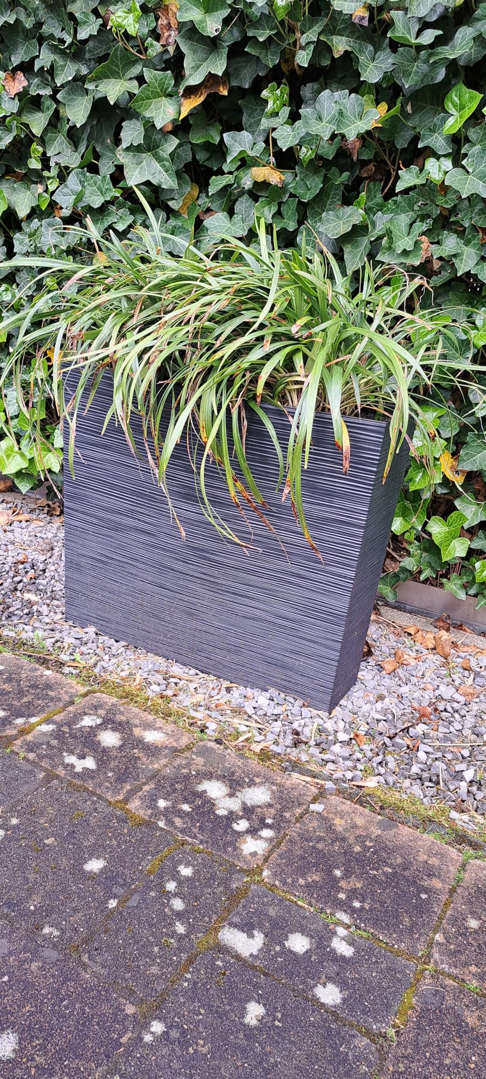 Prosperplast Boardee Blumenkasten Anthrazit 58 cm mit Einsatz