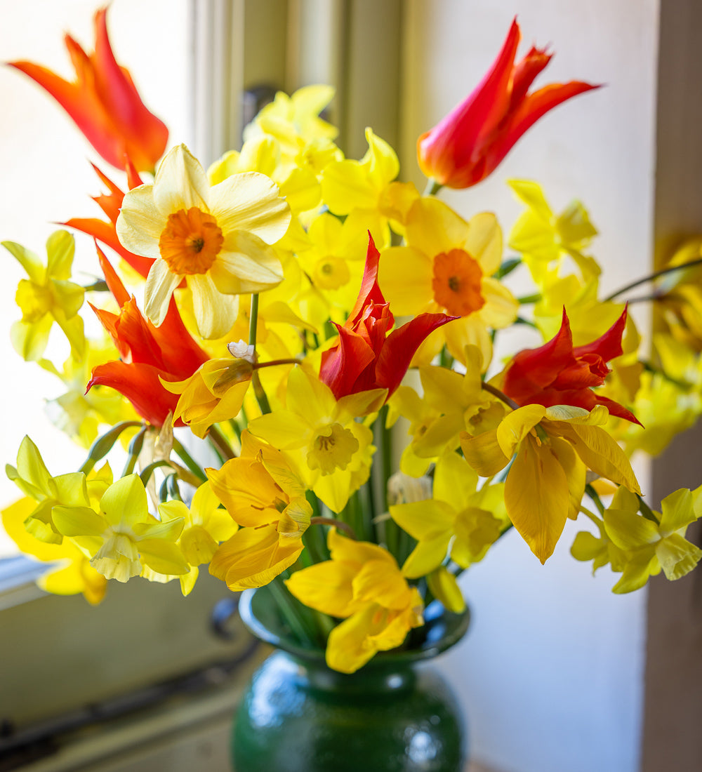 Sarah Raven Bulbs Vase Full of Cheer Blumenzwiebeln 50 Stück duftend