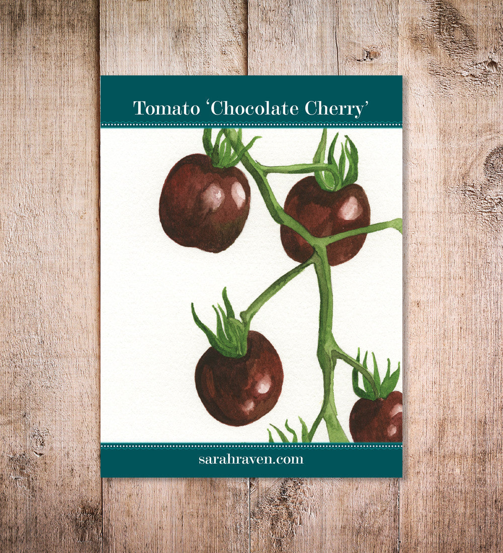 Sarah Raven Seeds Tomate Chocolate Cherry Samen 10 Samen süß